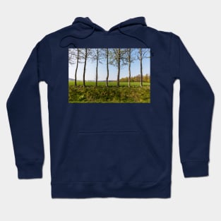 Seven Trees Hoodie